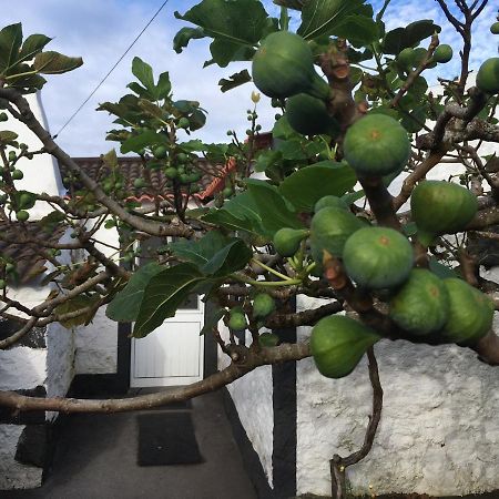 Rosa Do Canto مونتي المظهر الخارجي الصورة