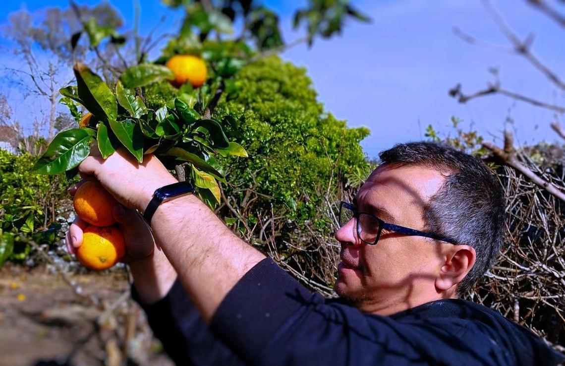 Rosa Do Canto مونتي المظهر الخارجي الصورة